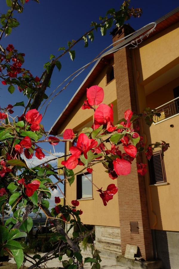 casa vacanze, via delle margherite 3 Montecorvino Pugliano Esterno foto