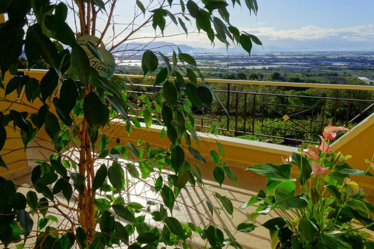 casa vacanze, via delle margherite 3 Montecorvino Pugliano Esterno foto