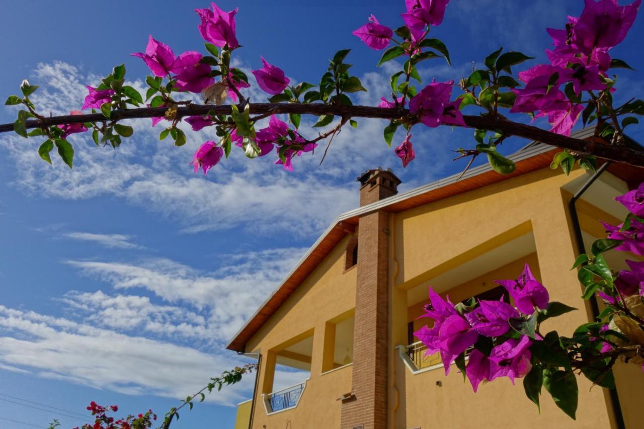 casa vacanze, via delle margherite 3 Montecorvino Pugliano Esterno foto